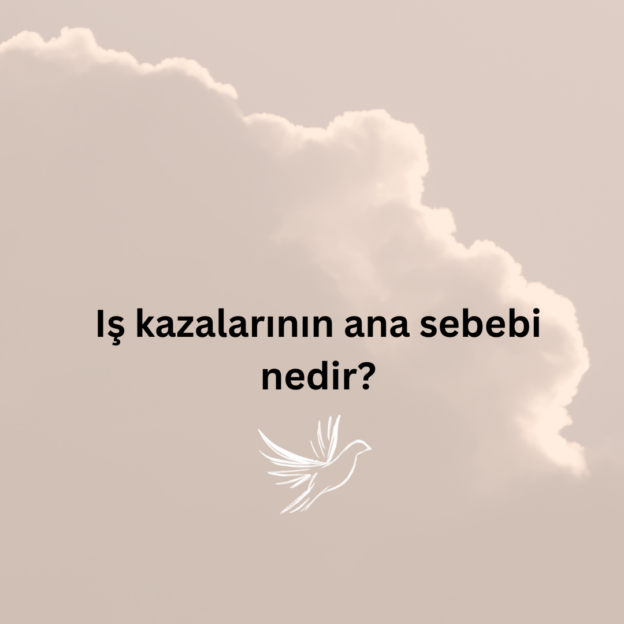 Iş kazalarının ana sebebi nedir? 1