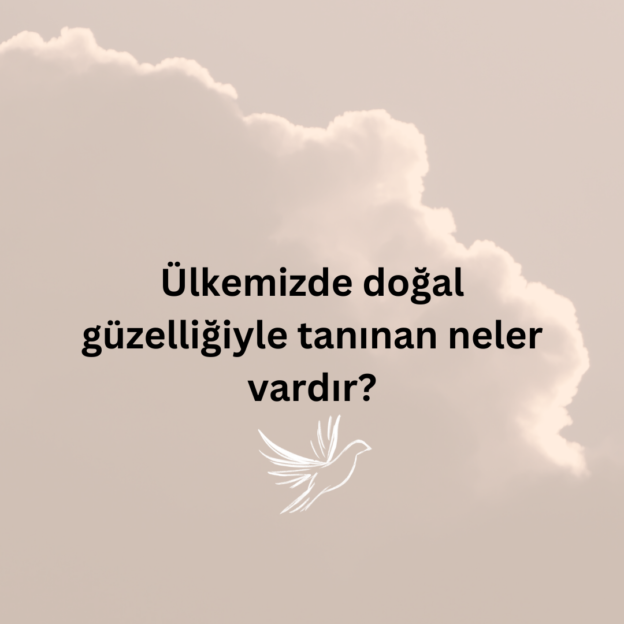 Ülkemizde doğal güzelliğiyle tanınan neler vardır? 1