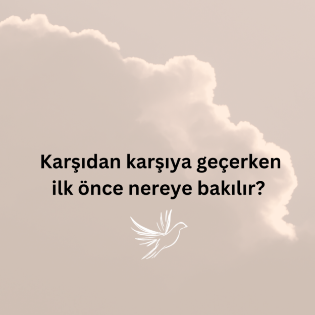 Karşıdan karşıya geçerken ilk önce nereye bakılır? 1