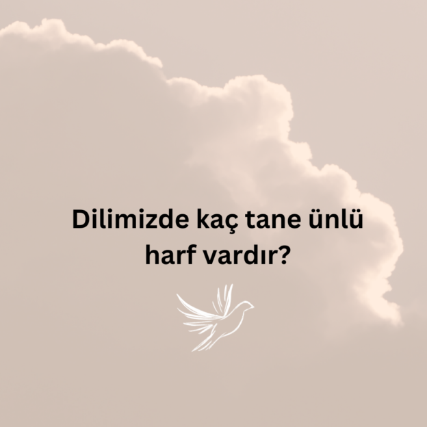 Dilimizde kaç tane ünlü harf vardır? 1