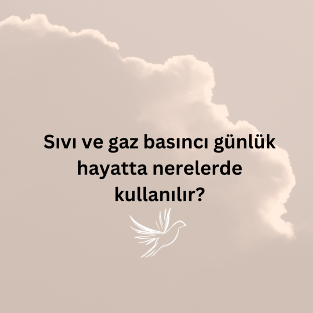 Sıvı ve gaz basıncı günlük hayatta nerelerde kullanılır? 1