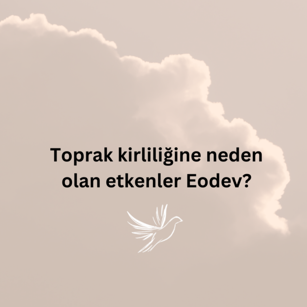 Toprak kirliliğine neden olan etkenler Eodev? 1