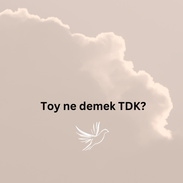 Toy ne demek TDK? 1