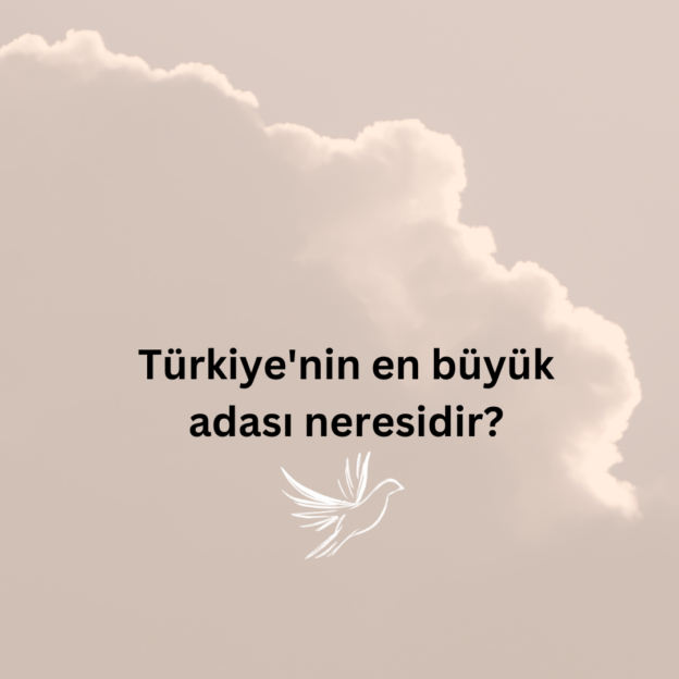 Türkiye'nin en büyük adası neresidir? 1