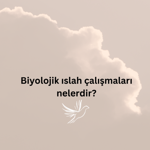 Biyolojik ıslah çalışmaları nelerdir? 1