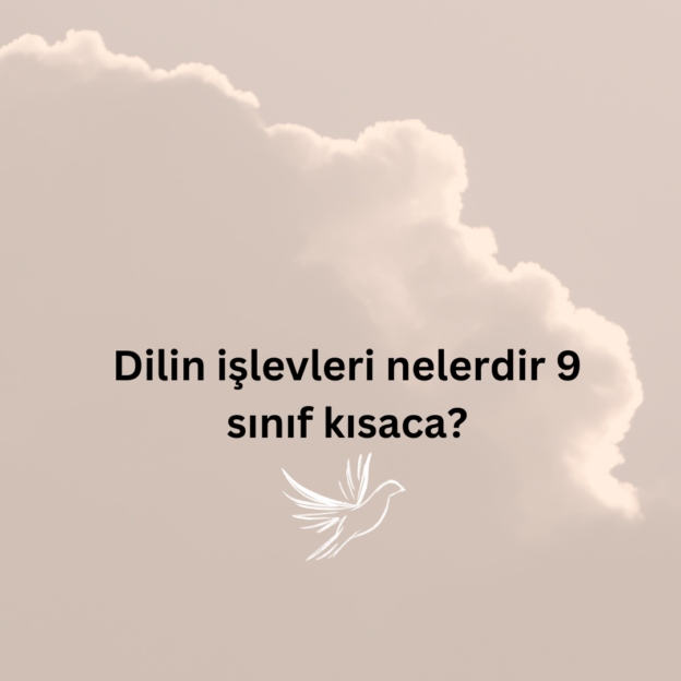 Dilin işlevleri nelerdir 9 sınıf kısaca? 1