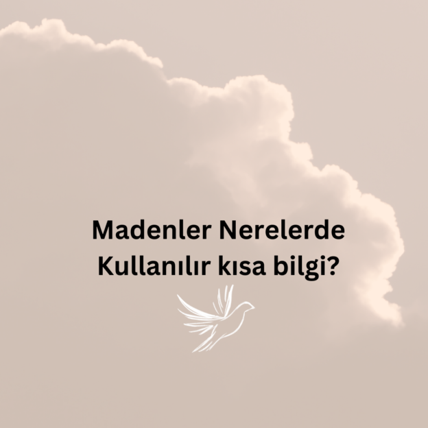 Madenler Nerelerde Kullanılır kısa bilgi? 1