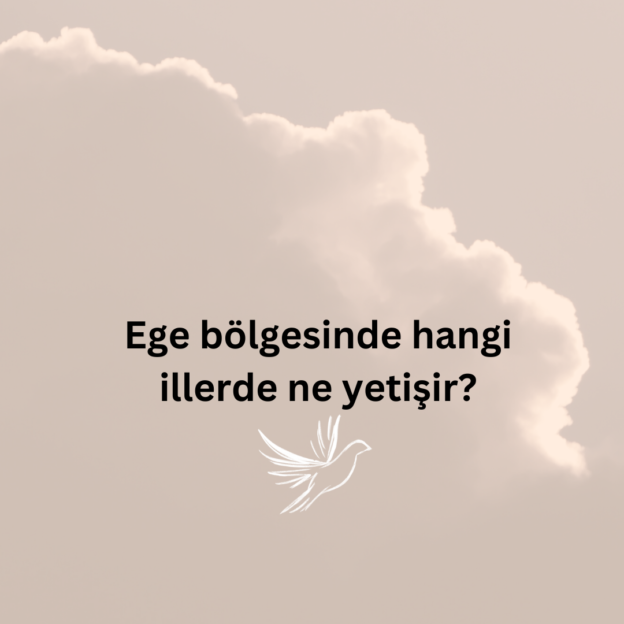 Ege bölgesinde hangi illerde ne yetişir? 1