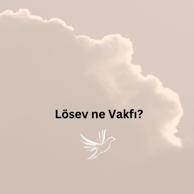 Lösev ne Vakfı? 1