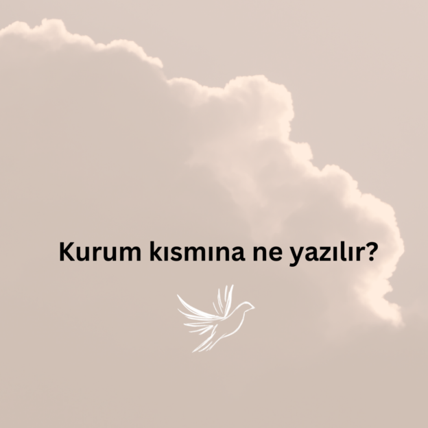 Kurum kısmına ne yazılır? 1