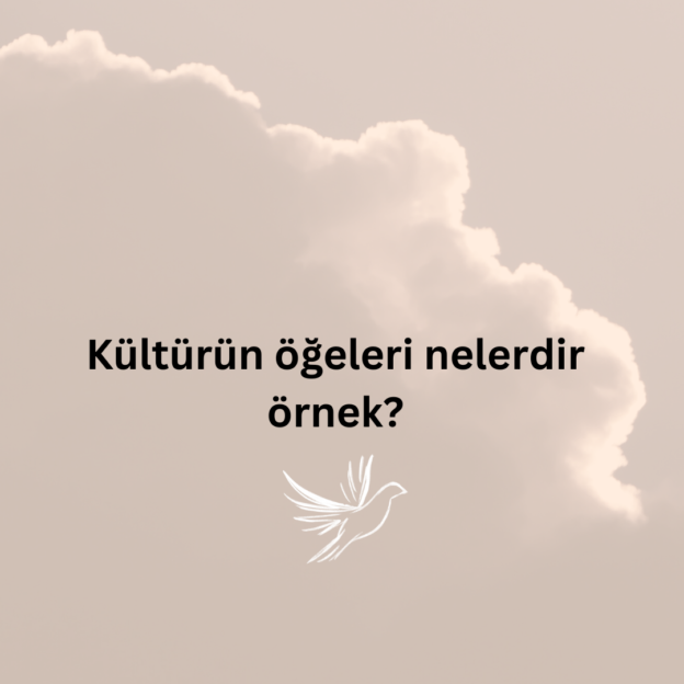 Kültürün öğeleri nelerdir örnek? 6