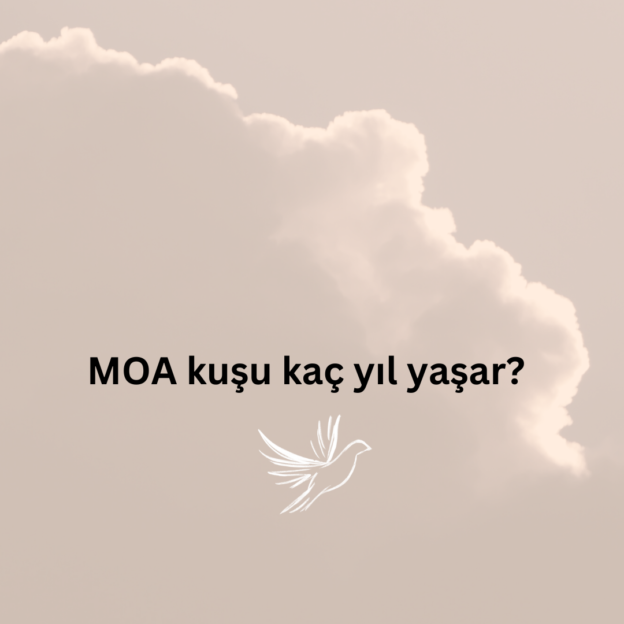 MOA kuşu kaç yıl yaşar? 1