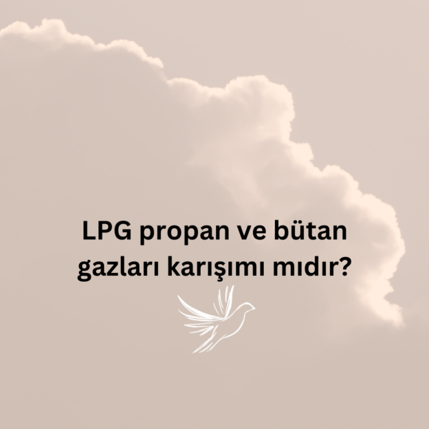 LPG propan ve bütan gazları karışımı mıdır? 1