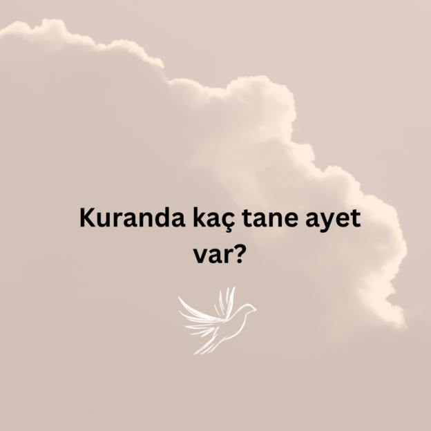 Kuranda kaç tane ayet var? 1