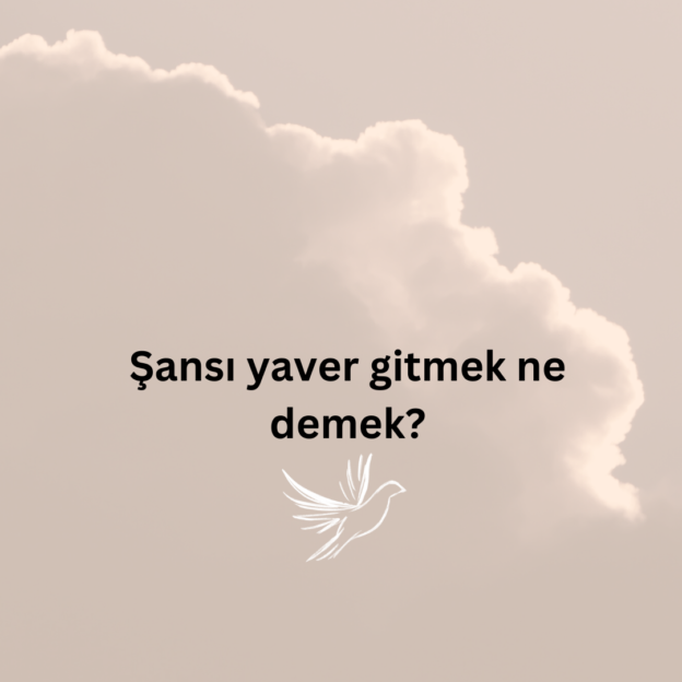 Şansı yaver gitmek ne demek? 1