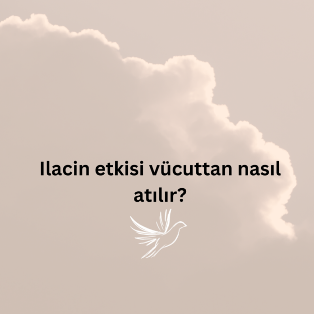 Ilacin etkisi vücuttan nasıl atılır? 1