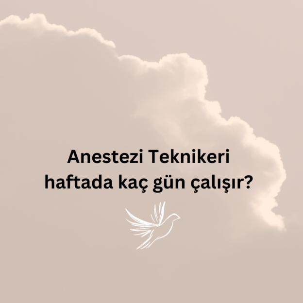 Anestezi Teknikeri haftada kaç gün çalışır? 1