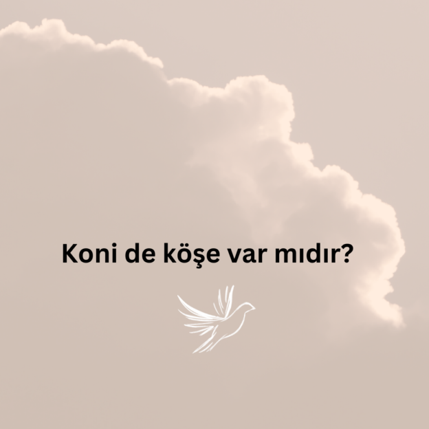 Koni de köşe var mıdır? 1