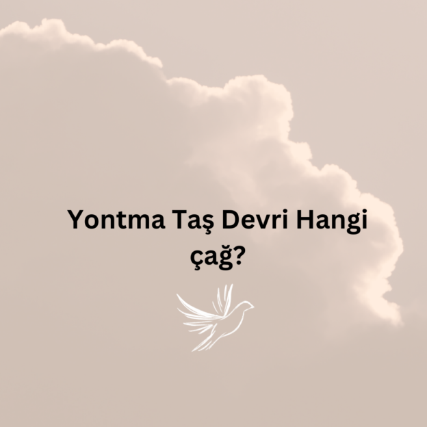 Yontma Taş Devri Hangi çağ? 1