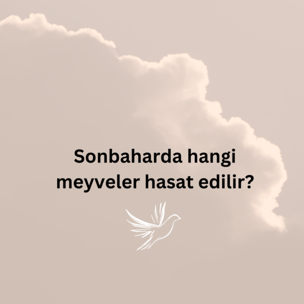 Sonbaharda hangi meyveler hasat edilir? 1