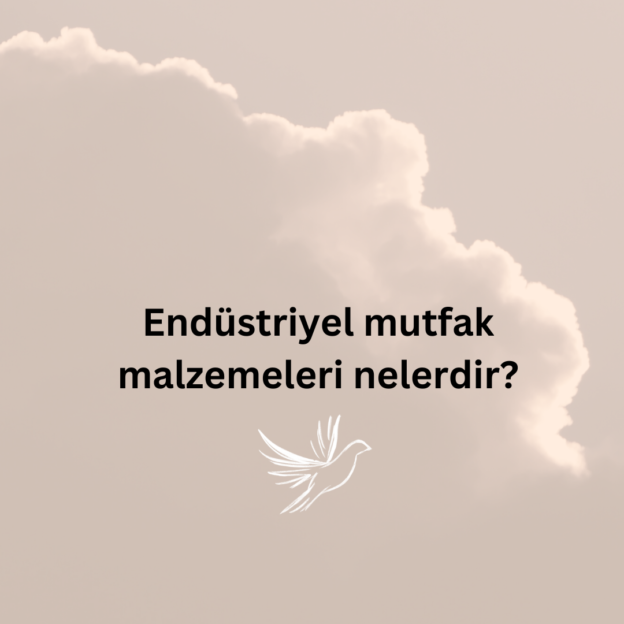 Endüstriyel mutfak malzemeleri nelerdir? 1