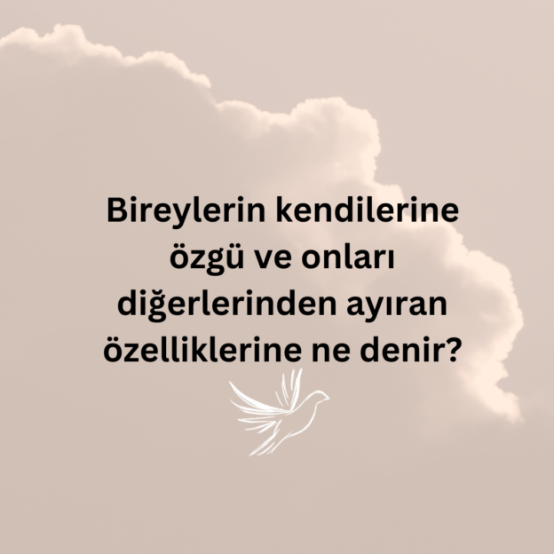 Bireylerin kendilerine özgü ve onları diğerlerinden ayıran özelliklerine ne denir? 1