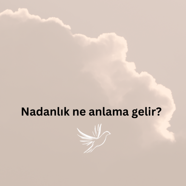 Nadanlık ne anlama gelir? 1