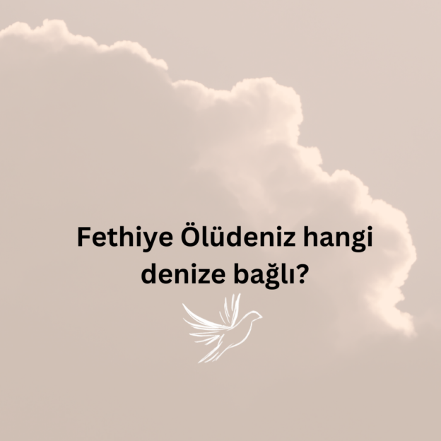 Fethiye Ölüdeniz hangi denize bağlı? 1