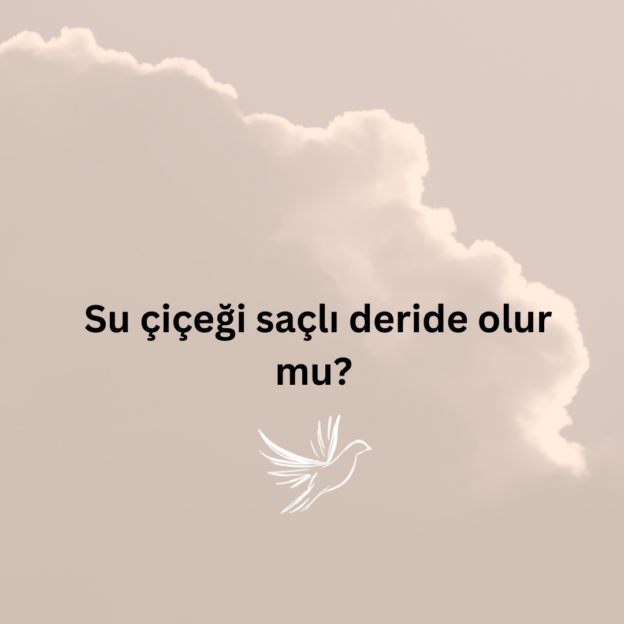 Su çiçeği saçlı deride olur mu? 1