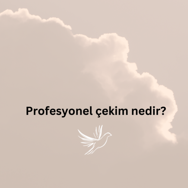Profesyonel çekim nedir? 1