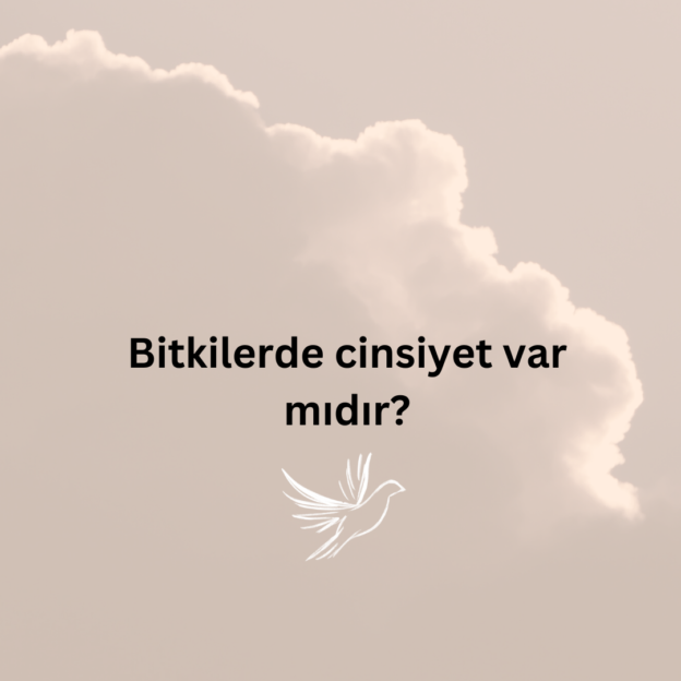 Bitkilerde cinsiyet var mıdır? 1