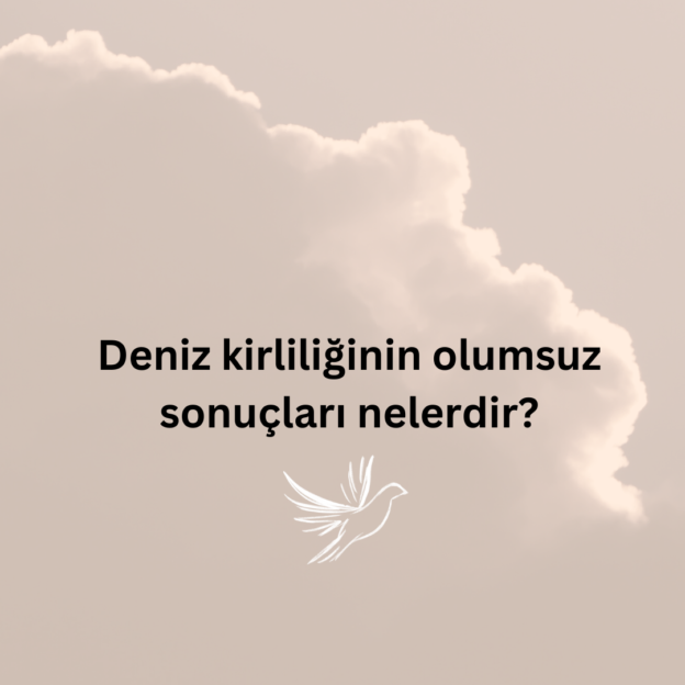 Deniz kirliliğinin olumsuz sonuçları nelerdir? 1