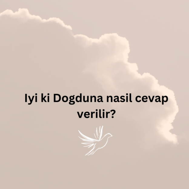 Iyi ki Dogduna nasil cevap verilir? 1