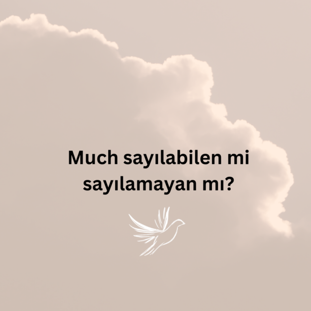 Much sayılabilen mi sayılamayan mı? 1