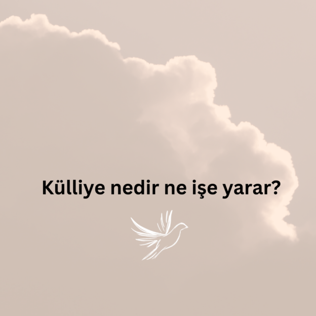 Külliye nedir ne işe yarar? 1