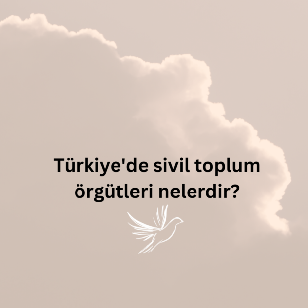 Türkiye'de sivil toplum örgütleri nelerdir? 1