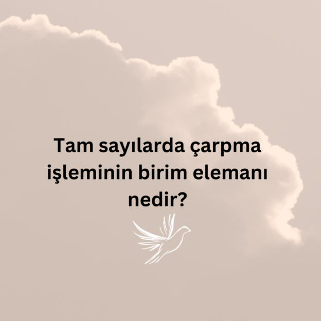 Tam sayılarda çarpma işleminin birim elemanı nedir? 1