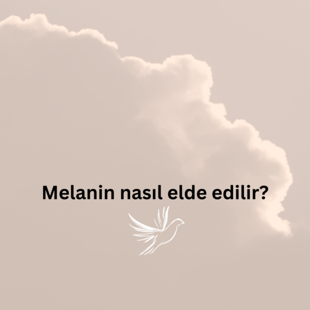 Melanin nasıl elde edilir? 1