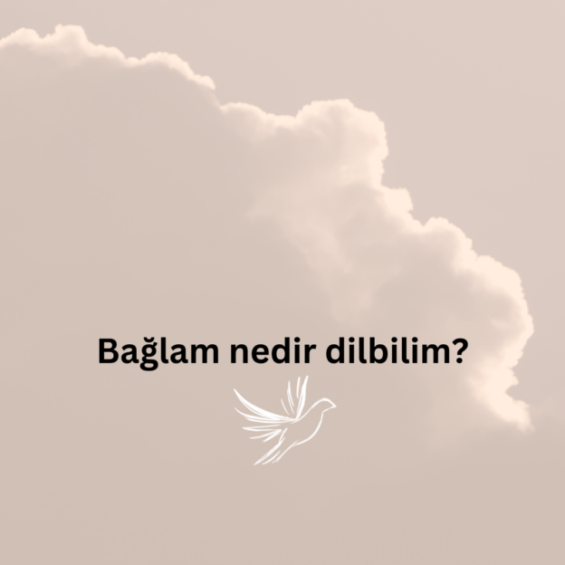 Bağlam nedir dilbilim? 1