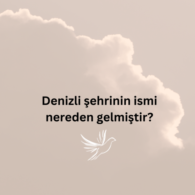 Denizli şehrinin ismi nereden gelmiştir? 1