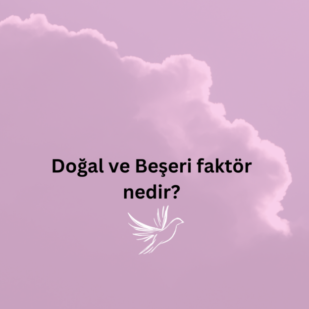 Doğal ve Beşeri faktör nedir? 1