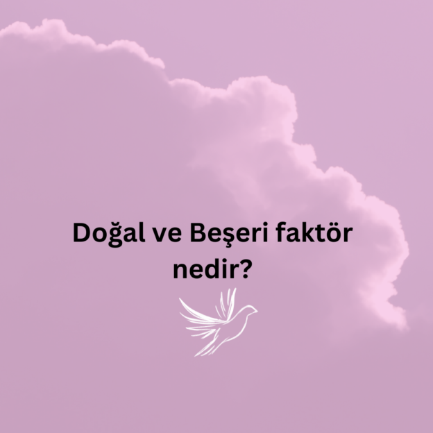 Doğal ve Beşeri faktör nedir? 10