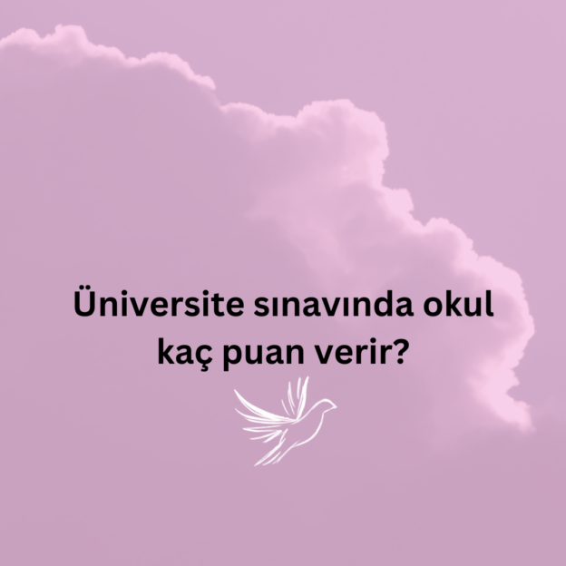 Üniversite sınavında okul kaç puan verir? 1
