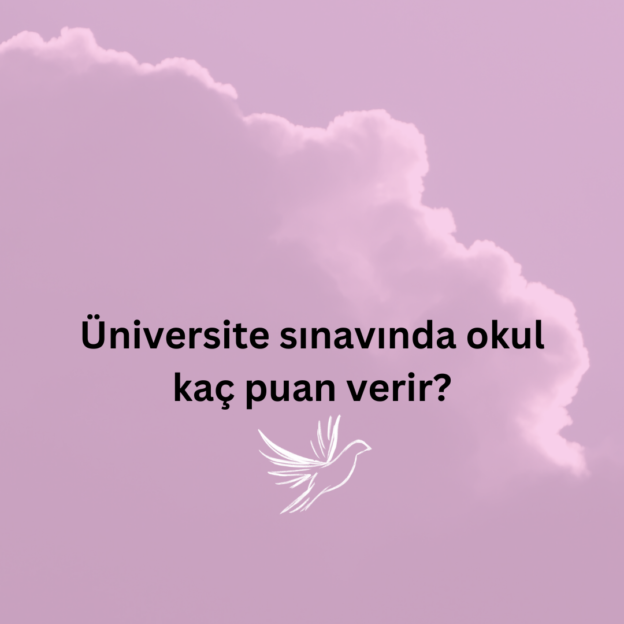 Üniversite sınavında okul kaç puan verir? 5