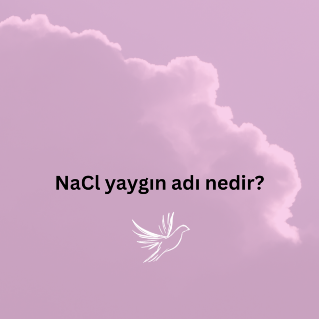 NaCl yaygın adı nedir? 1