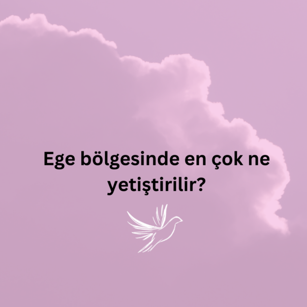 Ege bölgesinde en çok ne yetiştirilir? 10