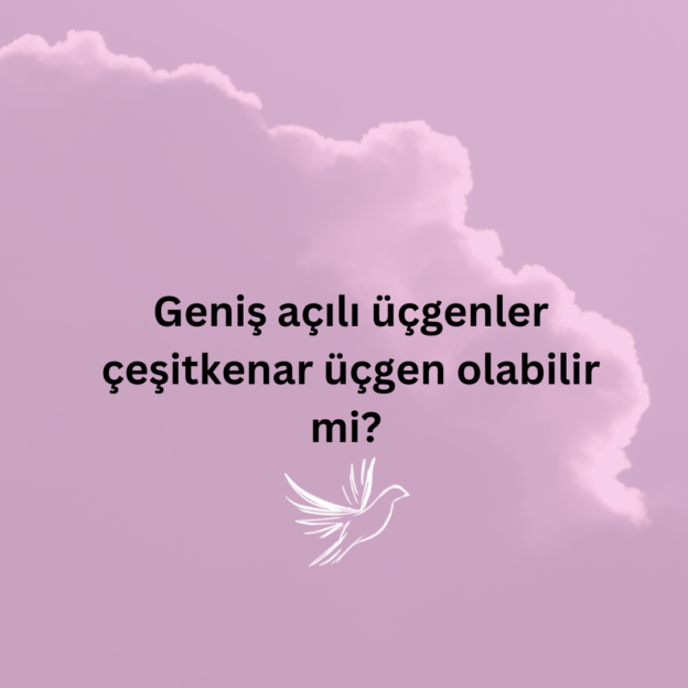 Geniş açılı üçgenler çeşitkenar üçgen olabilir mi? 8