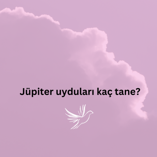 Jüpiter uyduları kaç tane? 1