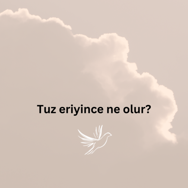 Tuz eriyince ne olur? 1