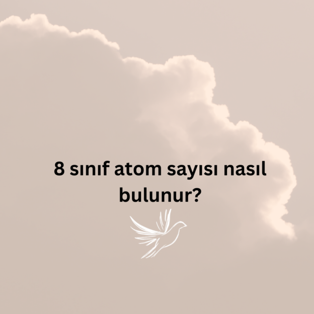 8 sınıf atom sayısı nasıl bulunur? 1